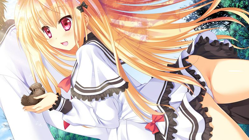 petitlingeロストエコーズ
