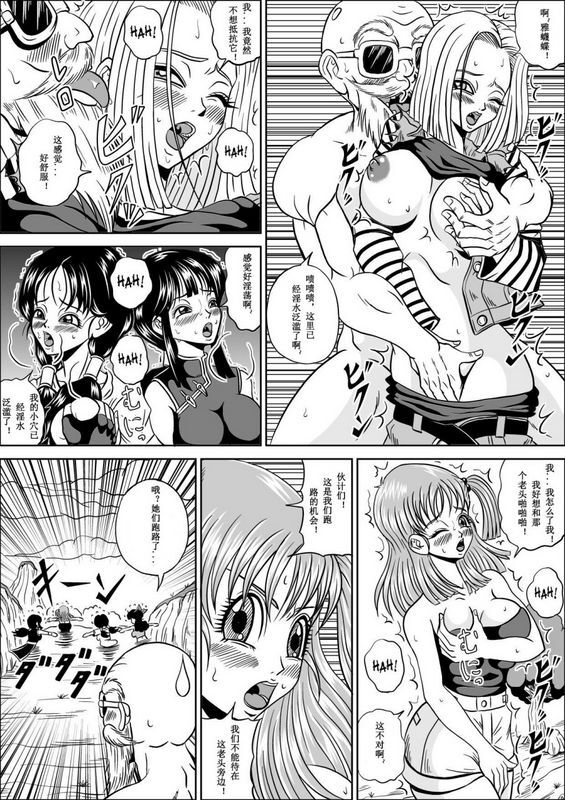 七龙珠亀仙人の野望
